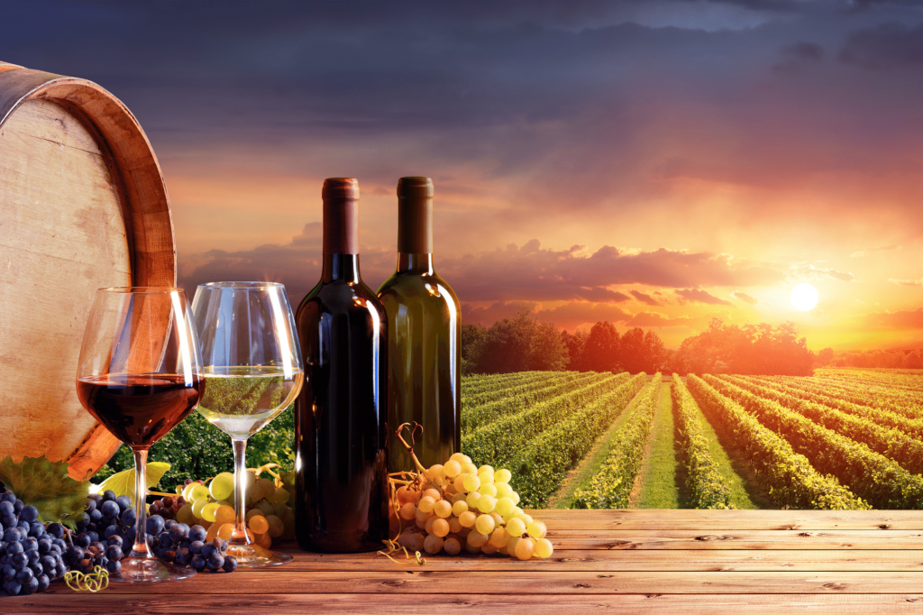 The Wine Industry Case Study